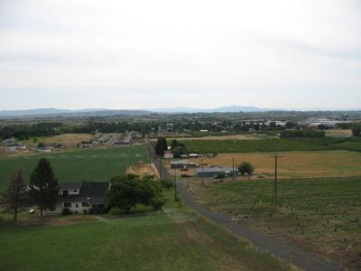 field